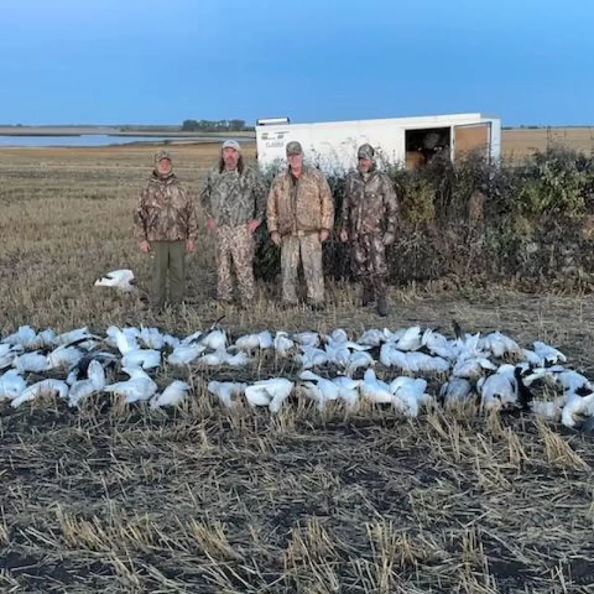 Hunt in Saskatchewan